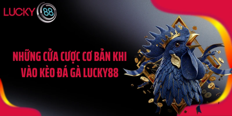 Những cửa cược cơ bản khi vào kèo đá gà LUCKY88